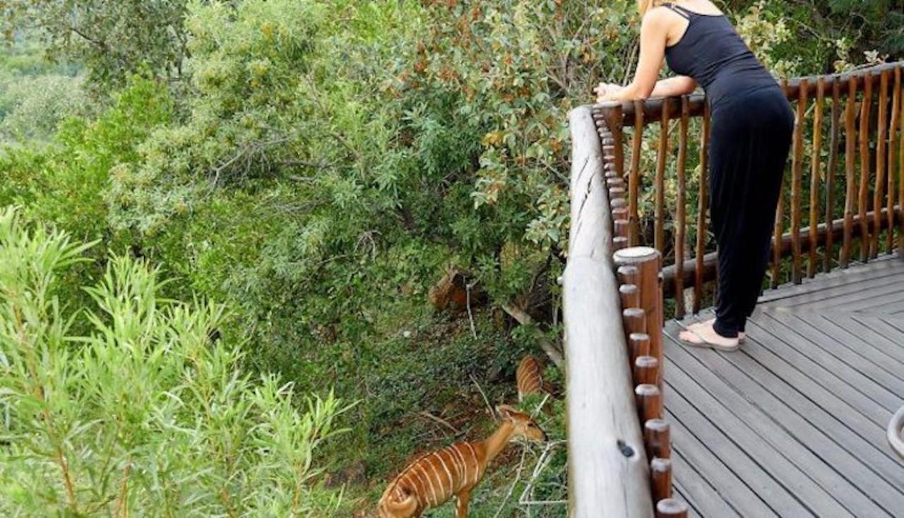 Phumelo Lodge Бела Бела Екстериор снимка